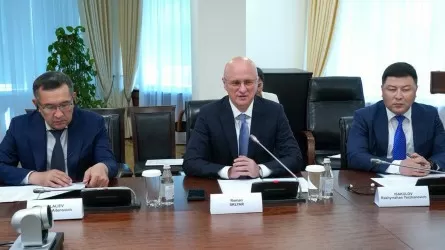 Роман Скляр и Airbus хотят создать сервисный центр в Казахстане