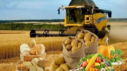 Қазақстанда 1 тамызда Ұлттық ауыл шаруашылығы санағы басталады