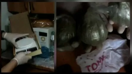 Астаналық әйелден жарты келіден астам гашиш тәркіледі 