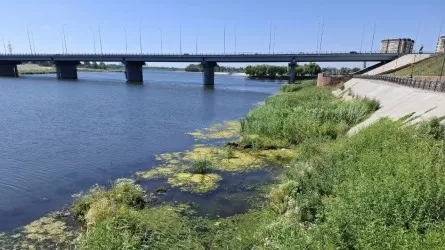 Очистки реки Тобол не будет: у проекта забрали финансирование
