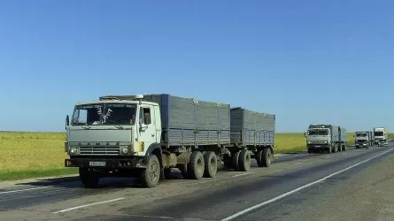 Ақмола облысында жүргізушіні өз жүк көлігі басып кетті 