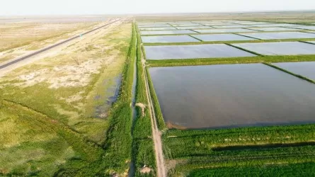 Минводресурсов РК опровергло информацию о нехватке поливной воды в Туркестанской области 