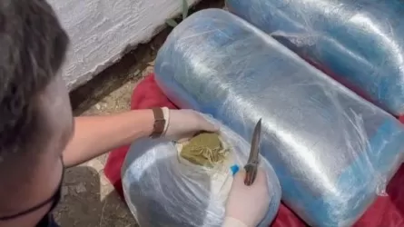 Целые мешки марихуаны и гашиша изъяли у наркоторцовца в области Абай 