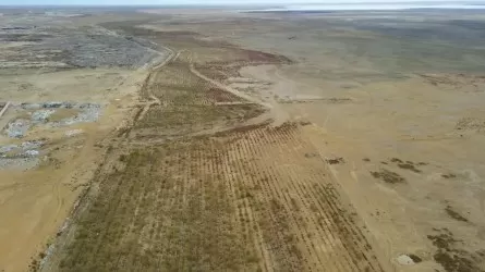 Маңғыстауда улы көлдің айналасын көгалдандыру қолға алынбақ
