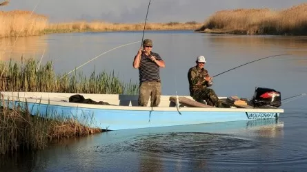 Балық аулауға бір жылдық лимит қойылды