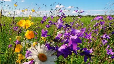28 шілдеде Қазақстанның көп өңірінде ауа райы тұрақсыз болады