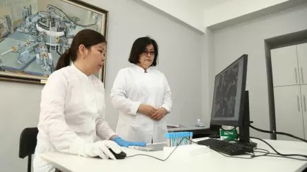Казахстанские ученые разработали метод очистки почвы от тяжелых металлов 