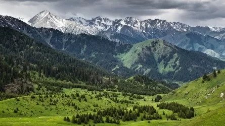 Алматы тауларында 20 жастағы жігіт іздестіріліп жатыр 