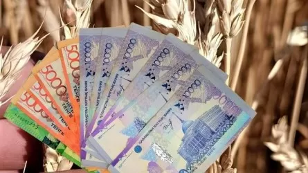 Егіндерін құрғақшылықтан сақтандырғандар 55 миллион теңге алды