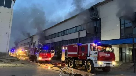 Пострадавшим от пожара в "BIG Шанхай" предпринимателям дадут отсрочку по кредитам 