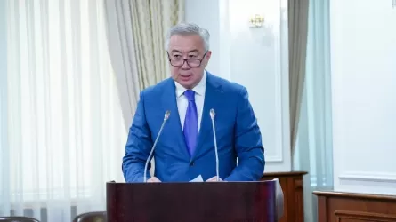 Жұманғарин Салық реформасының ең бірінші міндетін атады
