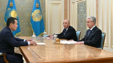 Әлихан Смайылов 20 триллион теңгеге жасалған тексерістің есебін берді