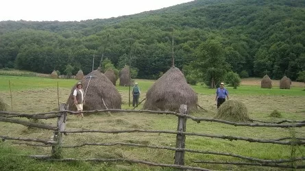 АПК Казахстана создаст тысячи рабочих мест в 2025 году 
