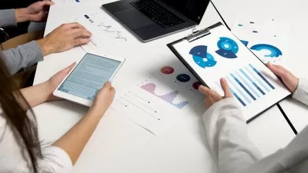 ОЭСР нашла проблемы в реализации инфраструктурных проектов Казахстана