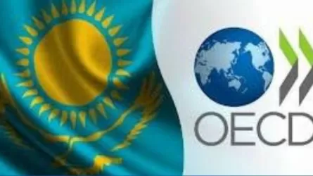 ОЭСР признала Казахстан лидером региона по ответственному ведению бизнеса 