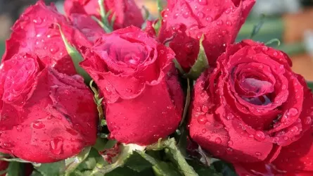 20 июля: какие праздники отмечаются в Казахстане и мире