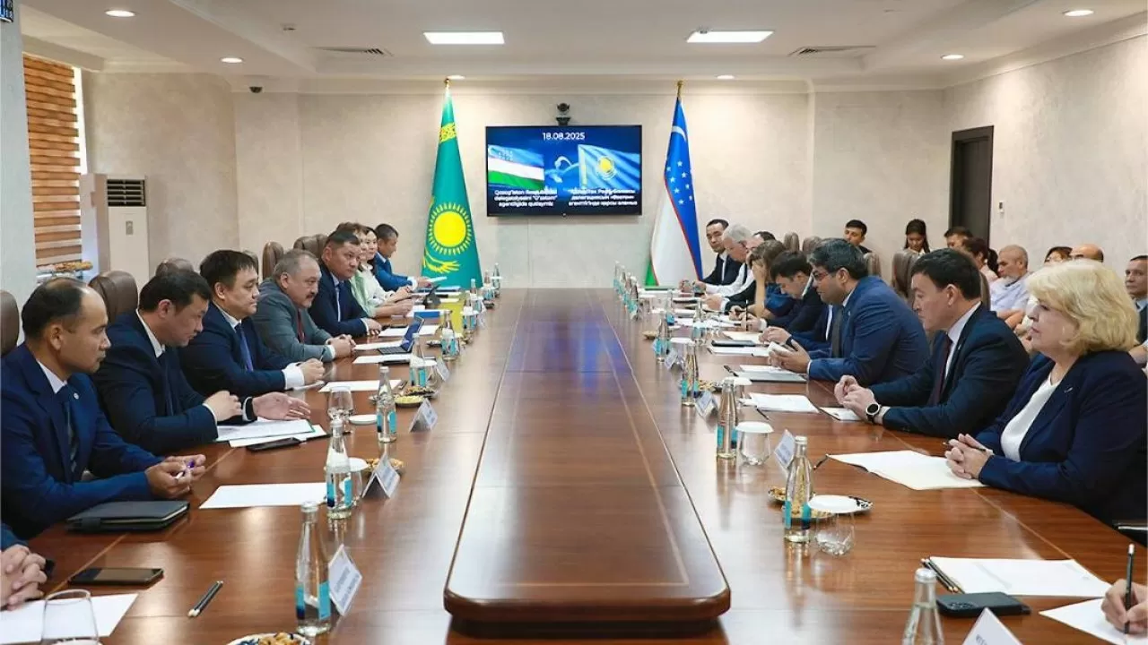 Казахстан и Узбекистан развивают атомное партнерство 