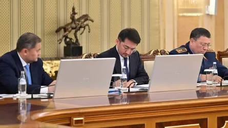 Президент еліміздегі киберқауіпсіздікті күшейтуді тапсырды