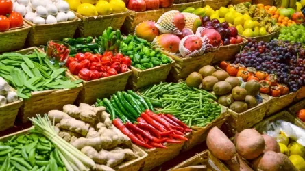 Прозрачное ценообразование: ход выполнения задач, поставленных президентом