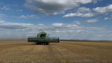 Незаконно сданные земли изъяли в Западном Казахстане  