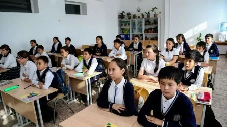 Мектептерде жаңа пән пайда болуы мүмкін