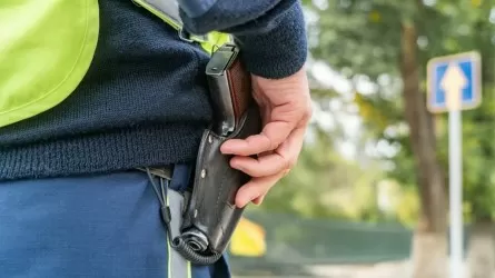 Задержан подозреваемый в громком убийстве жительницы Улытау и ее дочери 
