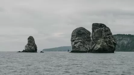 Новое землетрясение произошло возле Камчатки