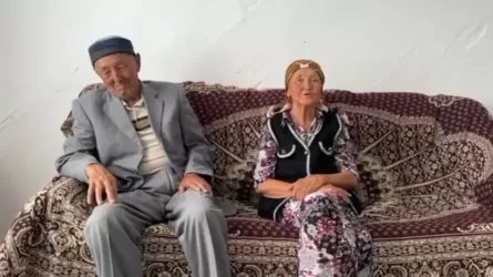 83-летний пенсионер пропал в горах Жетысуской области 