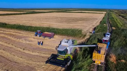 Жарты жылда ауыл шаруашылығы өнімі экспорты 38,3% ұлғайып, 3,2 млрд долларға жетті