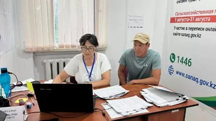 Юрлица и фермерские хозяйства составили почти половину участников сельхозпереписи в РК 