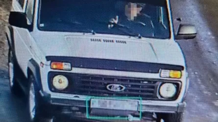 СҚО тұрғыны жалған нөмірмен шекарада ұсталды
