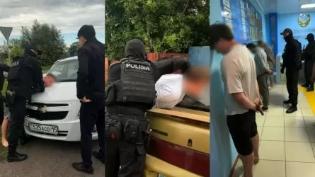СҚО-да интернет-алаяқтыққа қатысы бар 5 күдікті ұсталды