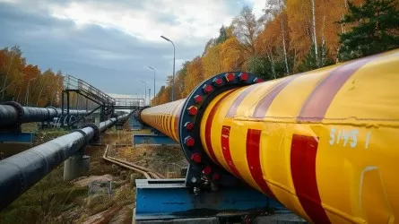 Нурлан Артыкбаев заполучил 75% в крупнейшем месторождении Qazaq Gaz  