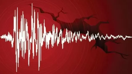 Землетрясение в Кыргызстане зафиксировали в Казахстане 