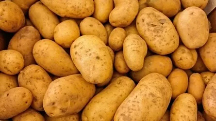Казахстанских аграриев наказали за махинации с продажей картофеля 