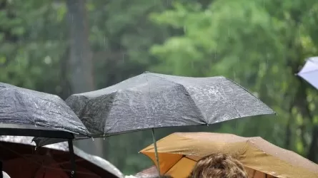 18 тамызда Қазақстанның бірқатар өңірінде найзағай, бұршақ және қатты жел күтіледі