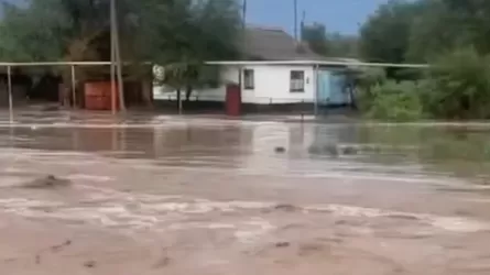 Жетісу облысында нөсер жауын салдарынан үйлердің ауласын су басты