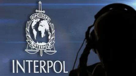 Интерпол көмегімен шетелге шығарылған активтер іздестіріледі