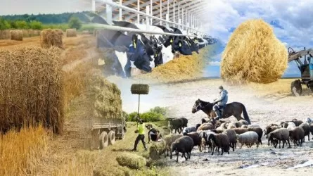 Ауыл шаруашылығы санағының алғашқы күні 5 мыңға жуық респондент қатысты