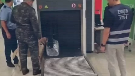 Таиландтан ұшып келген шетелдік марихуанамен ұсталды