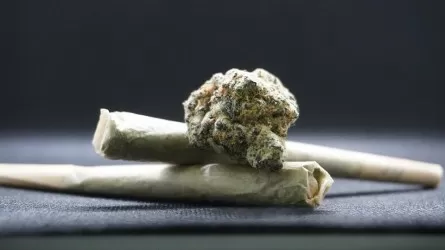 Приговор по делу "THC Shop" вынесли в Костанае 