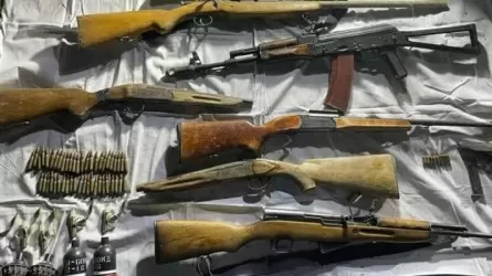Алматы облысында заңсыз сақталған қаруды тапсырғандар 3 млн теңге алды