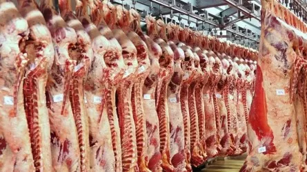 Былтыр 22 мың тонна ет экспортталды
