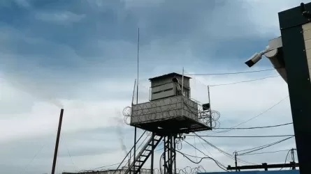 Подросток попал под амнистию в Казахстане 