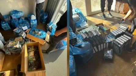 Компания LEGO пожаловалась в казахстанскую полицию 