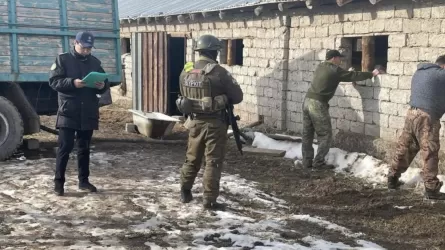 Түркістан облысында мұнай өнімін контрабандалаған қылмыстық топ мүшелері сотталды