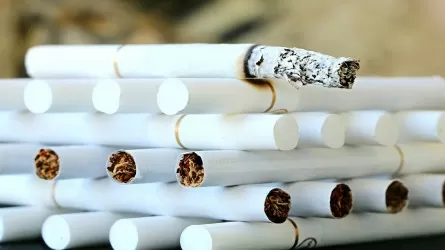 Абай облысында 4,5 миллион дана заңсыз темекі өнімі жойылды 
