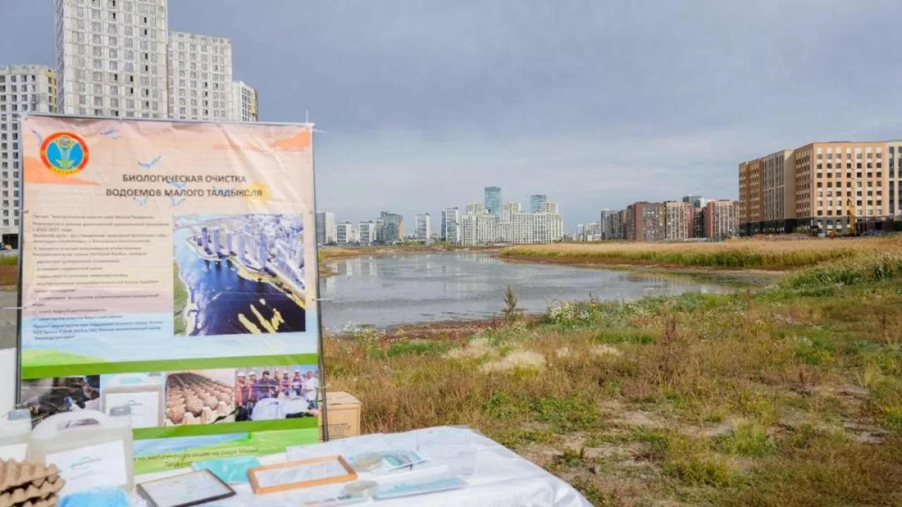 Биологическую очистку озера Малый Талдыколь провели в Астане 