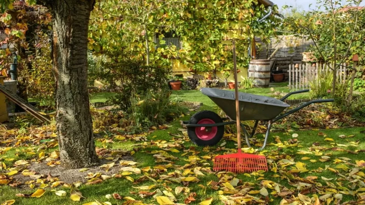 Биолог рассказал, что нужно сделать в огороде в конце лета