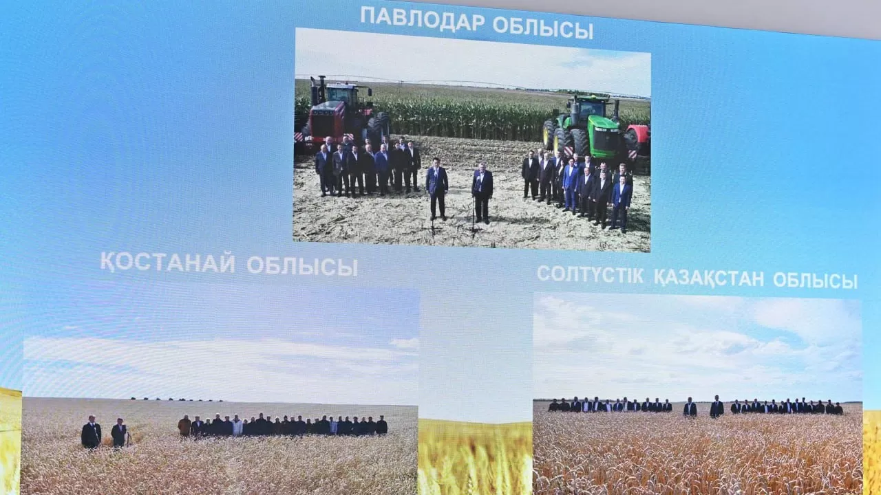 Президент пайдасы көп әрі тиімділігі жоғары дақылдарды өсіруге басымдық беруді тапсырды